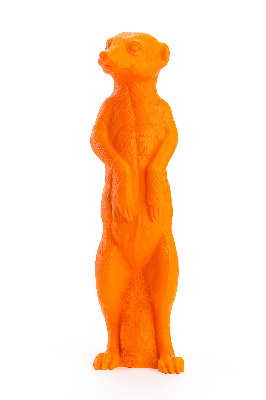 Erdmännchen in orange
